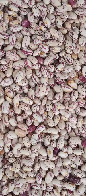 Rose Coco Beans