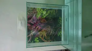 Slim Space Efficient Aquarium , Shop or Chemist Aquarium