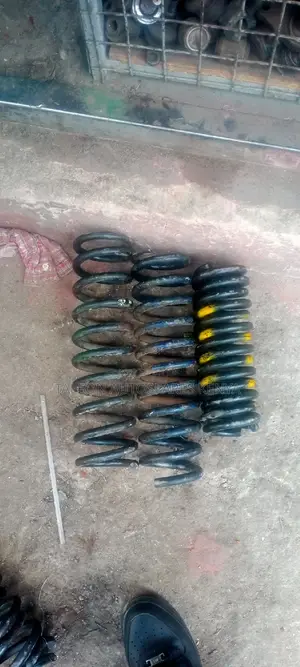 W124 Ex German Heavy Duty Springs