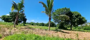 Bomani,5 Acres on Sale