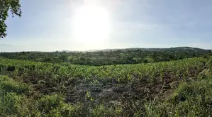 Farm Land in Shimbahills