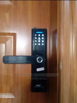 Intelligent Door Locks for Style and Function