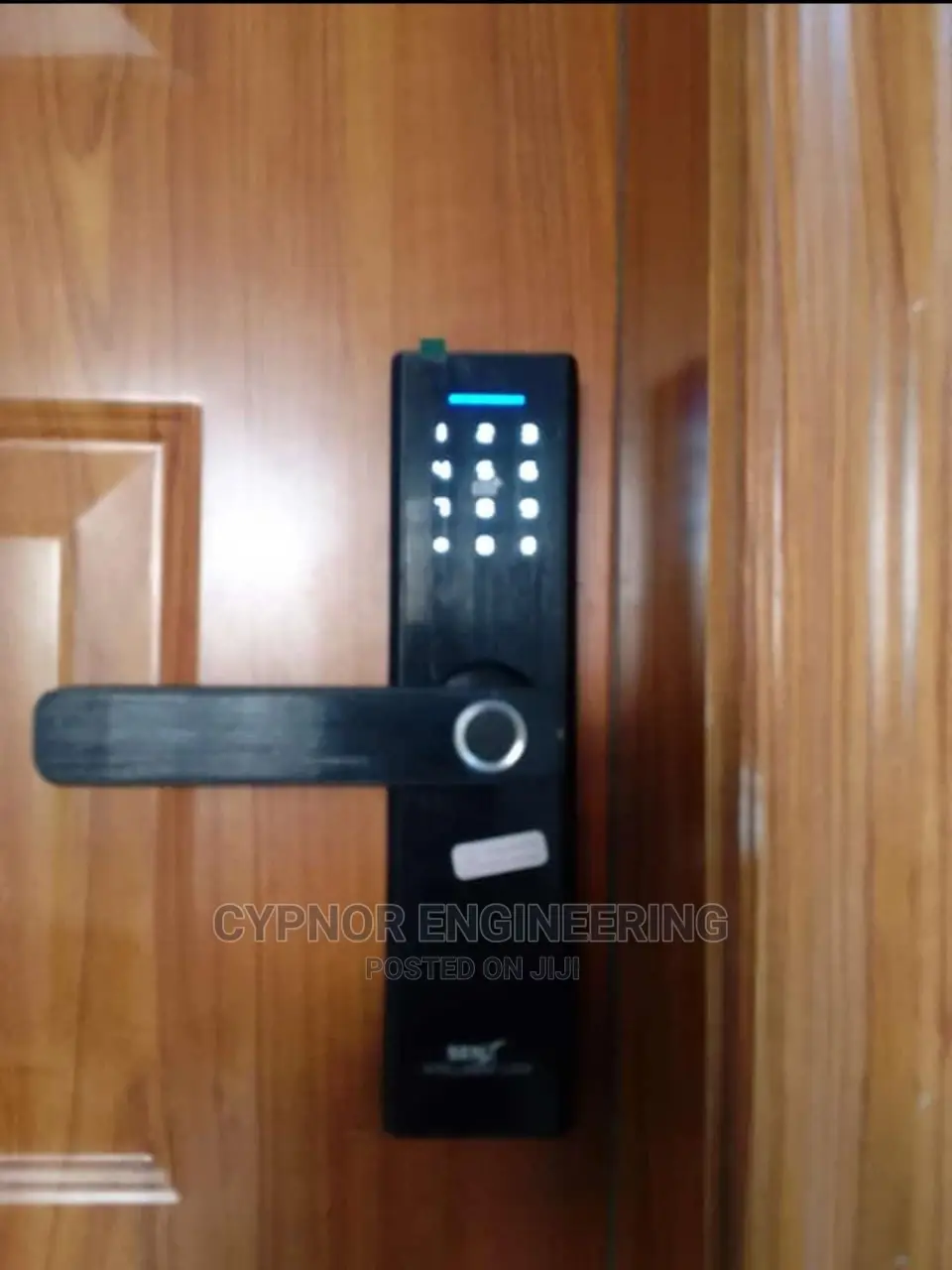 Intelligent Door Locks for Style and Function