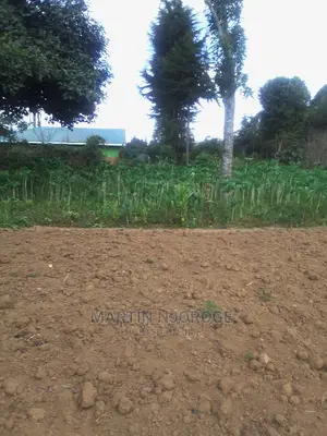 100 By 100 Plot Mwiciringiri, Naivasha