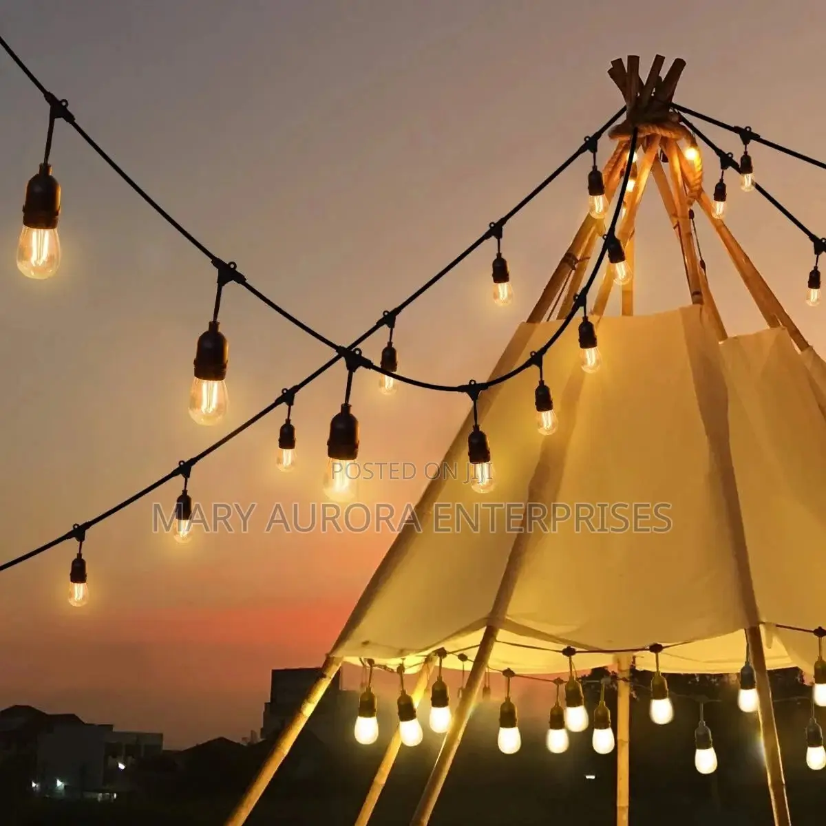 10 Meters String Lights and Bulbs