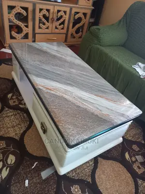 Pure Marble Coffee Table