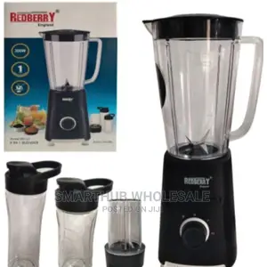 4 in 1 Redberry Blender 