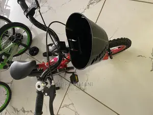 BMX 12inch Kids Bicycle