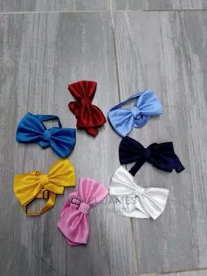 Wedding Party Dinner Bowties