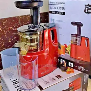 Rebune Slow Juicer S79 ,DC Motor 2 Outlet for Juice Pulp
