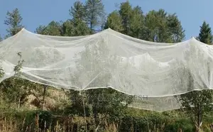 Anti - Hail Nets. 50m X 3m.