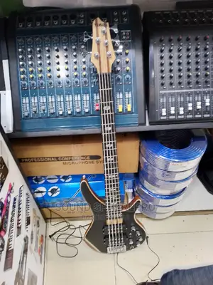 5 String Bass Guitar
