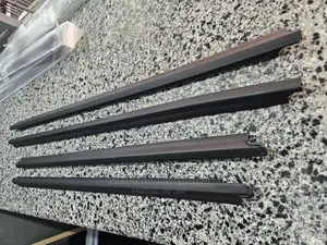 Fortuner Door Moulding