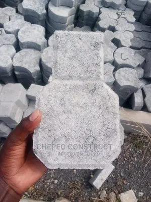 The Trihex Ordinary Cabro Paving Blocks