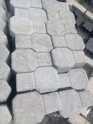 Ordinary Cabro Paving Blocks