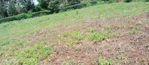 Plot for Sale 50/100