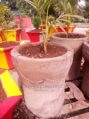Flower Pots