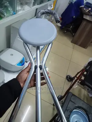 Walking Stick With a Seat