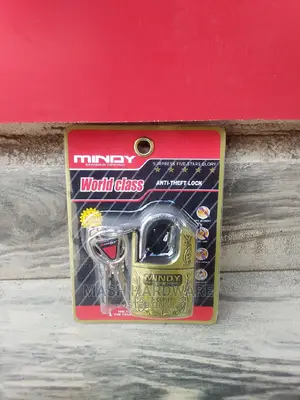 Most Secure 40mm Mindy Padlock
