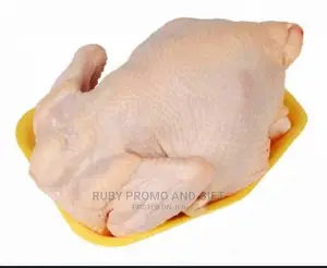 Freshly Slaughtered Broiler Chicken Meat