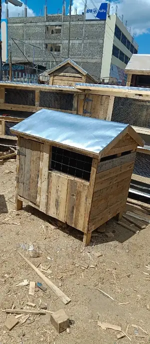 Chihuahua House