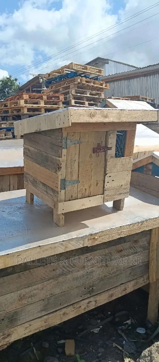 Chihuahua House 034