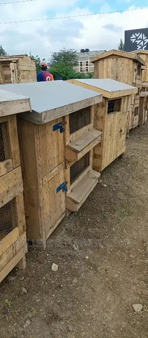 Chicken/ Chicken Houses