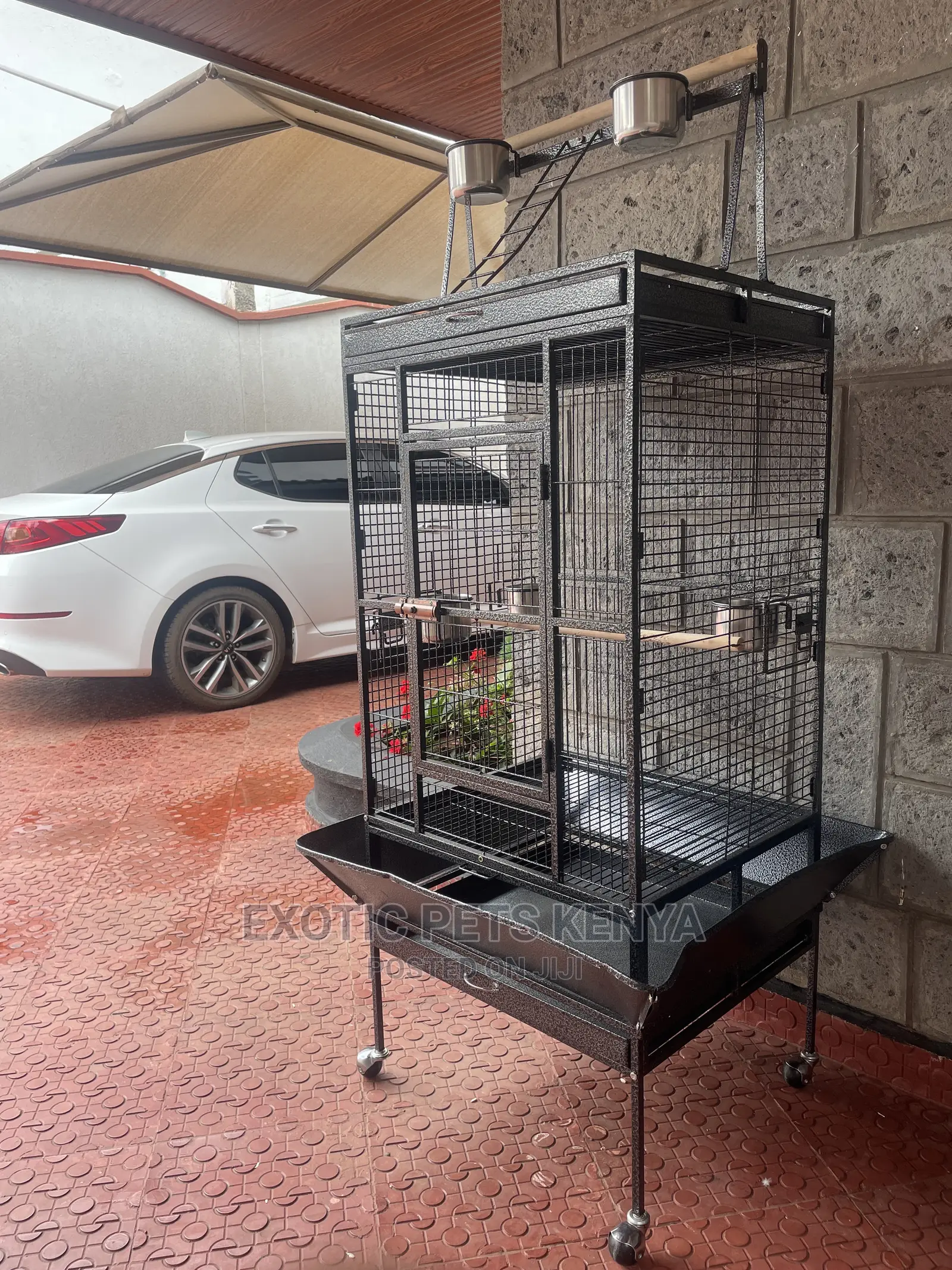 Imported Parrot Cage