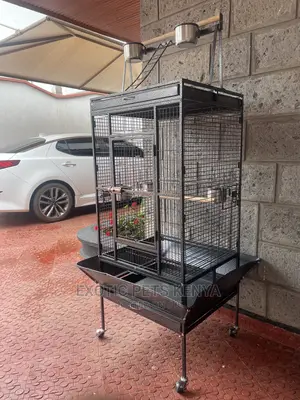 Imported Parrot Cage