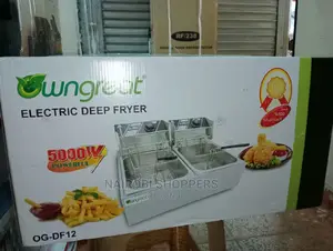 Electric Deep Fryer 5000w