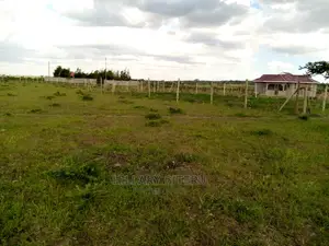 Kiserian 50*100 Plots