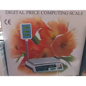 Computing Weighing Scale