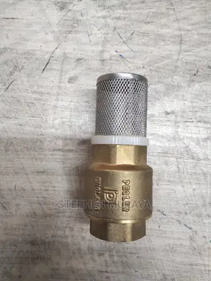 Foot Valve 1"(Pegler)