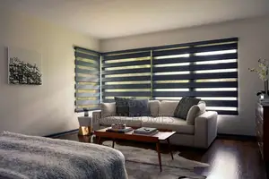 Roller Sheer Window Blinds