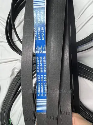 Fanbelt/Timing Belt