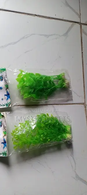 Aquarium Decorations