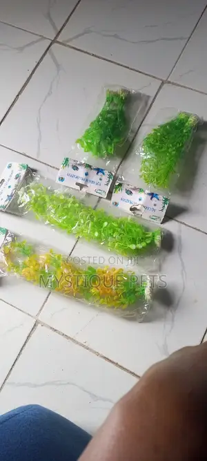Aquarium Decorations