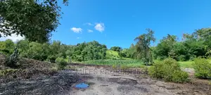 2.5 Acres Virgin Land,Creek Beach Plot on Sale Mtwapa