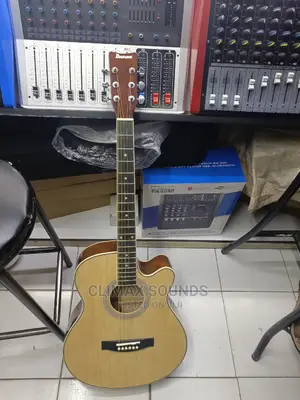Ibanez Acoustic Guitar