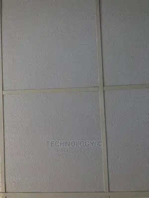Gypsum Ceiling Tiles(9mm)