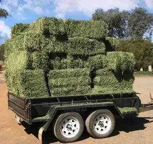 Lucern Hay. Minimum Order Quantity 10 Bales