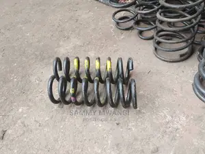 BMW X5 Rear Springa