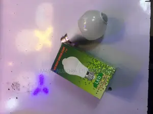 LED Motion Sensor Bulbs