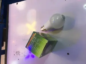 LED Motion Sensor Bulbs