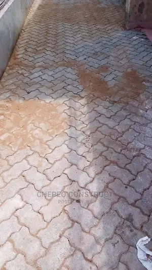 60mm Cabro Paving Blocks