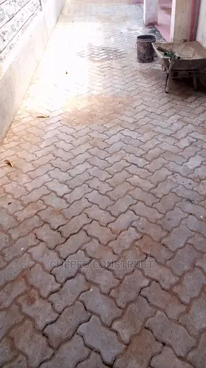 60mm Cabro Paving Blocks