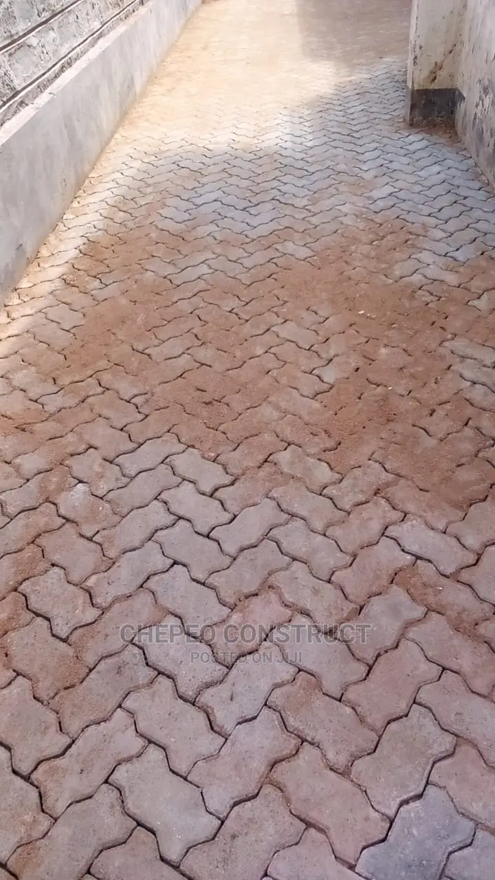 60mm Cabro Paving Blocks