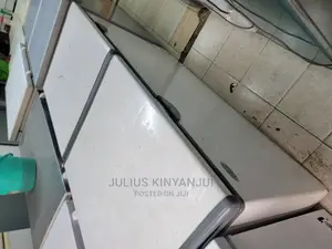 Double Door Freezer