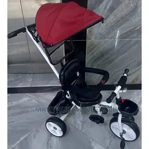 Push Tricycle With Parental Control/Canopy