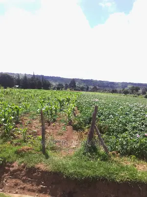 4 Acres Ihindu, Munyu Area